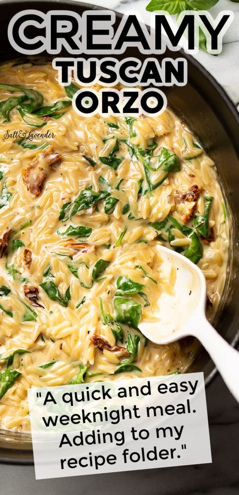 Creamy Spinach Orzo Recipes, Creamy Garlic Orzo Pasta, Orzo Recipes Creamy, Spinach And Sun Dried Tomato Recipes, Tuscan Orzo Pasta, One Pot Healthy Orzo, Orzo In Crockpot, Alfredo Orzo Recipes, Creamy Sundried Tomato Orzo