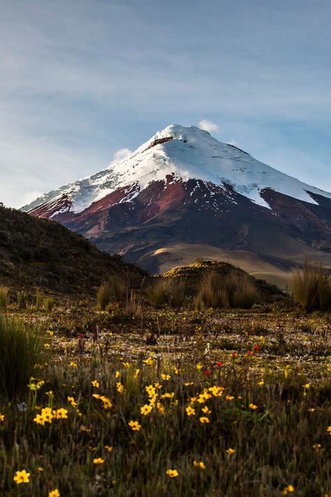 Climb the Mighty Cotopaxi Volcano: Challenge yourself with a climb up the majestic Cotopaxi Volcano, one of the highest active volcanoes in the world. Marvel at the awe-inspiring views from the summit and soak in the natural beauty of the surrounding Andean mountains. Ecuador Culture, Peru Mountains, Volcano Mountain, Travel Ecuador, Cotopaxi Volcano, Eco Lodges, Backpacking South America, Travel 2024, Challenge Yourself