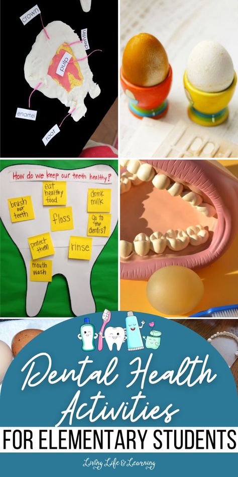 Not only do kids have the opportunity for creative exploration in the area of dental health, but these Dental Health Activities for Elementary Students may also bring increased interest in other related lessons such as nutrition and oral hygiene. Perfect homeschool activities for Dental Health Month! Children’s Dental Health Month, Dental Health Books, Activities For Elementary Students, Dental Health Activities, Oral Health Education, Health Teacher, Dental Health Month, Kids Dentist, Health Activities