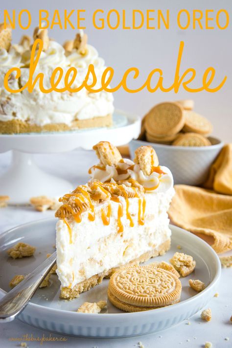 This No Bake Golden Oreo Cheesecake is a no bake cheesecake recipe that's perfect for Golden Oreo lovers! Ultra creamy and perfectly sweet, and so easy to make! Recipe from thebusybaker.ca! #goldenoreo #cheesecake #nobake #dessert #sweet #treat #caramel #easytomake #simple #homemade No Bake Golden Oreo Cheesecake, Golden Oreo Desserts, Golden Oreo Recipes, Golden Oreo Cheesecake, Best No Bake Cheesecake, Oreo Cheesecake Recipe, No Bake Cheesecake Recipe, Nobake Dessert, Oreo Cheesecake Recipes