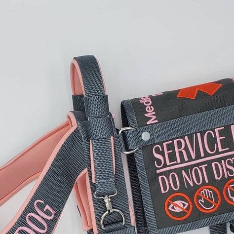 Dog Gear Organization, Gear Organization, Service Dog Patches, Service Dogs Gear, Instagram Posting, Pink Cape, Service Dog Vests, Reactive Dog, Dog Patch