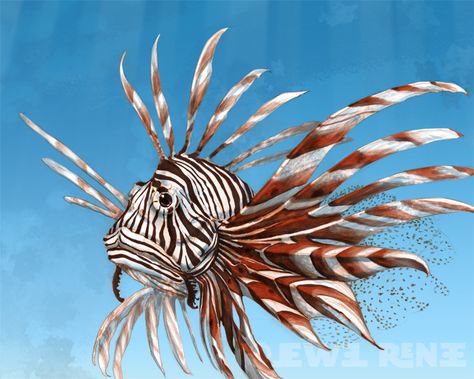 Lionfish Drawing | Email This BlogThis! Share to Twitter Share to Facebook Share to ... Blue Sea Slug, Sea Drawings, Ocean Tattoo Ideas, Balloon Fish, Rock Fish, Ocean Tattoo, Sea Drawing, Fish Costume, Australia Art