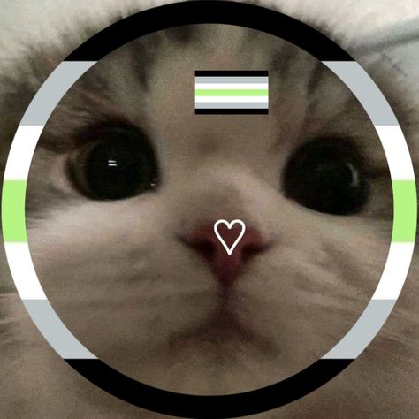 Agender Pfp, Agender Flag, Icon Cat, Lgbt Flag, Cat Icon, Pride Flags, Mood Board, Flag, Green