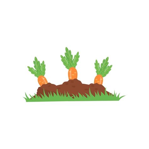 Carrot growing from ground vegetable on ... | Premium Vector #Freepik #vector #carrot #organic-farm #vegetable-farm #carrot-cartoon Carrot Cartoon, Carrot Farm, Vegetable Farm, How To Plant Carrots, Carrot Gardening, Vegetable Garden Beds, Plant Cartoon, Growing Carrots, Organic Recipes Healthy