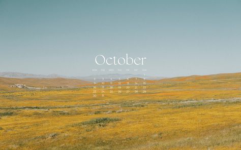 Excited to share the latest addition to my #etsy shop: October Wildflowers Calendar Wallpaper (Laptop) https://etsy.me/46qAzxD #yellow #green #calendar #wallpaper #wildflowers #aesthetic #october #productivity #organization October Wildflowers, October Wallpaper Laptop, Wallpaper Wildflowers, Wildflowers Aesthetic, Green Calendar, Aesthetic October, Productivity Organization, Your Wallpaper, Calendar Wallpaper