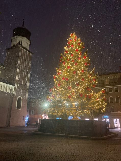 What to do in Trento
Christmas in Trento
Trento, Italy Trento Italy, Italy Places To Visit, Italy Winter, Italy Places, Christmas In Italy, Beautiful Christmas Trees, Christmas Markets, Trieste, Christmas Market