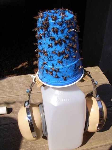 Deer Fly Traps- Great Blog on how to catch these and to prevent from getting bitten. These are the flys that spread Coggins.  Make sure you read the comments for other ideas. Some have used blue plates,cups,salad bowls,painters tape and spread with  Tanglefoot paste They are atracted to bright blue. Need to hang these in stalls. Diy Fly Repellent, Deer Flies, Deer Fly, Bug Killer, Horse Info, Fly Repellant, Future Farms, Fly Trap, Horse Fly