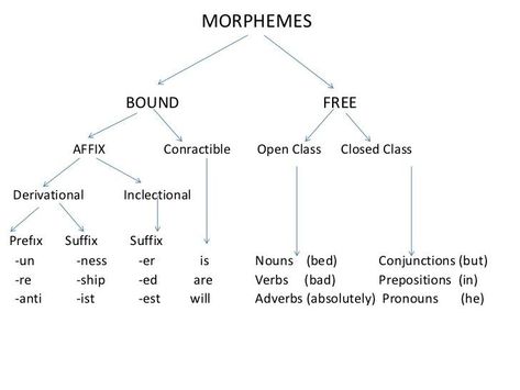 Linguistics Study, Computational Linguistics, English Literature Notes, Speech Therapy Tools, English Phrases Idioms, English Language Learning Grammar, English Phonics, Speech Therapy Materials, Teaching Grammar