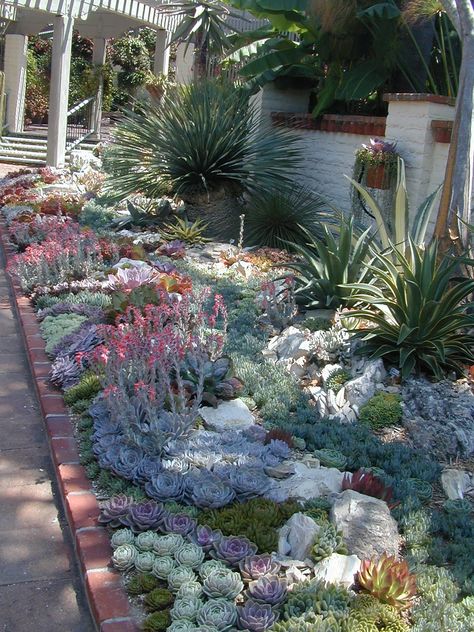 Elaborate succulent beds | At the Sherman Library and Garden… | Flickr Succulent Garden Landscape, Succulent Landscape Design, Drought Tolerant Garden, Stone Landscaping, Succulent Garden Design, Succulent Landscaping, Landscaping Inspiration, Garden Design Ideas, Low Maintenance Garden