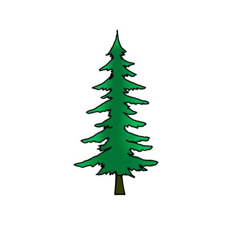 How to Draw a Pine Tree - Step by Step Easy Drawing Guides - Drawing Howtos Draw A Pine Tree, Draw Pine Trees, Tree Drawing Easy, Drawing Easy Step By Step, Pine Tree Drawing, Easy Drawing Guides, Tree Outline, Zigzag Line, Red Kite