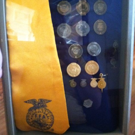 FFA Shadow box-  I'm gonna organize all my pins like this when I graduate Ffa Shadow Box Ideas, Ffa Ideas, Teach Ag, Graduation Party Pictures, Shadow Box Ideas, Ag Teacher, Award Display, Showing Livestock, Senior Gifts