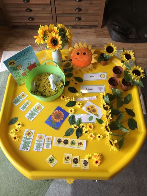 Earth friendly fun brought to you The Family Center/La Familia and My Big Day Marketing and Events #TheFamilyCenter #LaFamilia #NoCoFamily #earlychildhood #earlychildhoodeducation #education #FamilySupport #earlyyears #childcare #latinx #NoCoNonProfit #nonprofit #nonprofitorganization Sunflower Tuff Tray, Growing Tuff Tray Ideas, Sunflower Eyfs Activities, Bee Tuff Tray Ideas, Sunflowers Eyfs, Tuff Tray Spring Ideas, Spring Tuff Tray Ideas For Toddlers, Spring Tuff Tray Ideas Eyfs, Science Tuff Tray Ideas