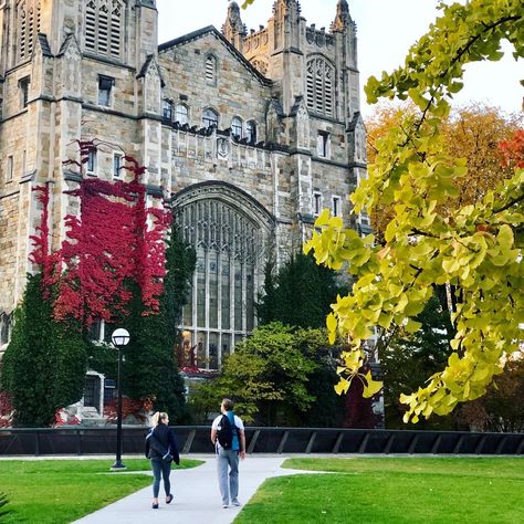 The University of Michigan is home to historical architecture. Don't just study, explore! | Ann Arbor, MI | U of M University Of Michigan Ann Arbor, U Of Michigan, U Of M Aesthetic, U Of M University Of Michigan, Universities Aesthetic, College Manifestations, Michigan Aesthetic, Dorm 2023, U Michigan