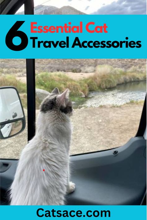 When traveling with cats in an RV you must have the right items to make the journey more pleasurable and safeFrom cat carriers to litter boxes and food bowls these items will make sure that you have everything that makes you feel at homeClick on the link to checkout... Cat Travel Essentials, Rv Camping Essentials, Traveling With Cats, Rv Cat, Cat Travel Accessories, Cat Carriers, Colorful Hairstyles, Cat Essentials, Food Bowls