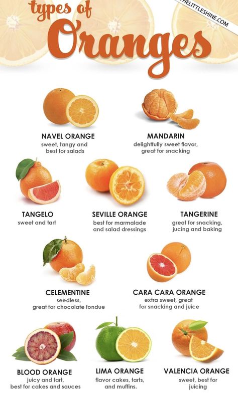 Fruit Kabob, Fruits And Vegetables List, Types Of Oranges, Fruit Health, Amazing Food Hacks, Food Infographic, Food Charts, Food Info, Orange Recipes