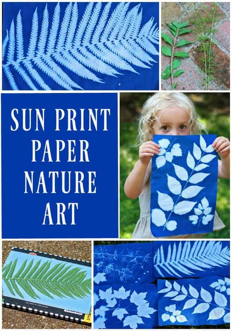 Kids Nature Activities, Art Soleil, Sun Prints, Nature Camping, Sun Art, Nature Kids, Camping Crafts, Camping Art, Nature Activities