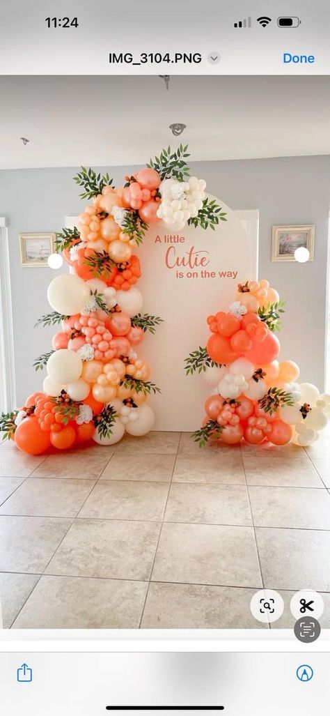 Little Cutie Balloon Arch, Cutie Baby Shower Balloons, Citrus Theme Balloon Garland, Citrus Bridal Shower Balloon Arch, Cutie Themed Baby Shower Ideas, Shades Of Orange Balloon Garland, Clementine Baby Shower Ideas, Creative Gender Reveals, Orange Blush