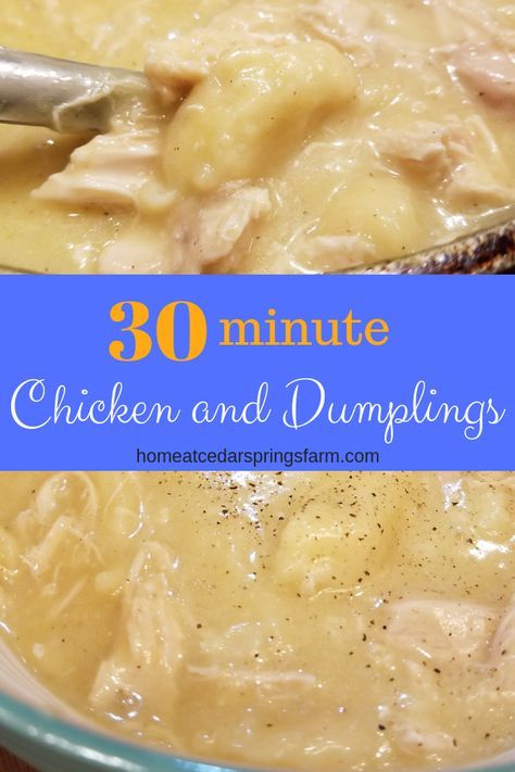 Biscuit Chicken And Dumplings, Chicken And Dumplin Recipe, Quick Chicken And Dumplings, Easy Chicken Dumpling Recipes, Easy Chicken And Dumplings Recipe, Easy Chicken And Dumplings, Chicken Dumplings Recipe, Chicken And Dumplings Recipe, Homemade Chicken And Dumplings