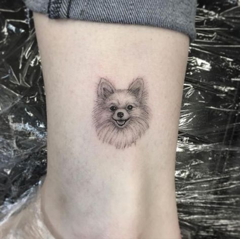 14 Of The Best Pomeranian Tattoo Ideas Ever | PetPress Pomeranian Tattoo Ideas, Pom Dog Tattoo, Pomeranian Dog Tattoo, Pomeranian Tattoo Minimalist, Pomeranian Line Art, Chihuahua Tattoo Minimalist, Pomeranian Tattoo, Tattoo Perro, Tatoo Dog