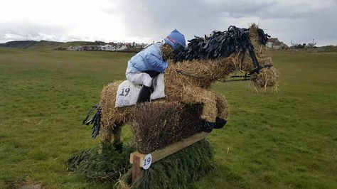 Scarecrow horse Horse Scarecrow, Scarecrow Ideas For Contest Festivals, Scarecrow Ideas For Contest, Crow Ideas, Scarecrow Competition, Horse Decorations, Hay Bale Art, Scarecrow Ideas, Scarecrow Festival