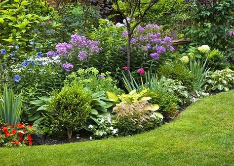 curved-herbaceous-border-with-evergreens-and-perennials Colorful Landscaping, Flower Garden Design, Garden Shrubs, Garden Types, Low Maintenance Garden, Have Inspiration, Beautiful Flowers Garden, Garden Borders, Perennial Garden