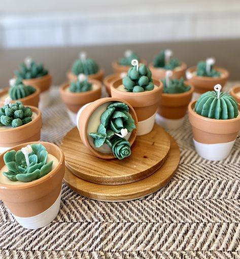 Succulent and Cactus Candles in Painted Terracotta Pots, Succulent Gift, Wedding Favors, Plant Lovers, Mini Candle - Etsy Mini Terracotta Pots Crafts, Terracotta Candles, Cactus Candle, Succulent Candles, Cactus Candles, Wax Candles Diy, Candle Plant, Succulents Candles, Candle Party Favors