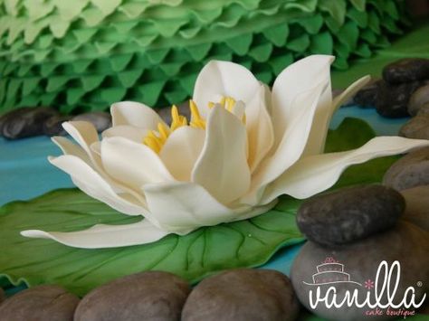 {Nice white Waterlily by Mariagrazia Tota} Cake Flowers Tutorial, Lotus Cake, Sugar Flowers Cake, Sugar Flowers Tutorial, Fondant Flower Tutorial, Gum Paste Flowers, Fondant Tutorial, Fondant Flowers, Diy Crafts Paper Flowers