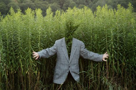 Ben Zank, Plant Portrait, Surreal Portrait, Surreal Photos, Fairytale Photography, Surrealism Photography, Conceptual Photography, Talking Heads, Creative Portraits