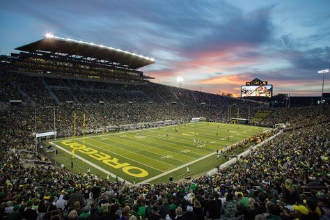 Autzen Stadium, Oregon Football, Oregon State University, Football Stadium, Student Athlete, University Of Oregon, Football Stadiums, Oregon State, Latest News Today