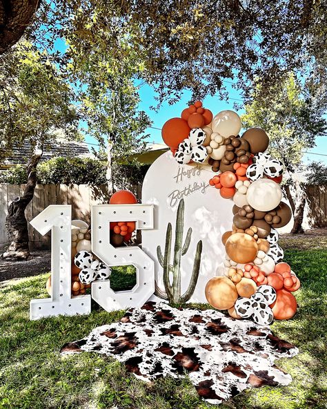 Disco Desert, Backdrop Ideas, Balloon Garland, 2nd Birthday, Party Decor, Balloons, Cowboy, Party Decorations, Baby Shower