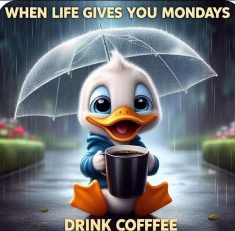 Happy Rainy Monday, Morning Coffee Funny, Monday Greetings, Rainy Monday, Funny Good Morning, Monday Morning Quotes, Funny Day Quotes, Good Morning Happy Monday, Morning Memes