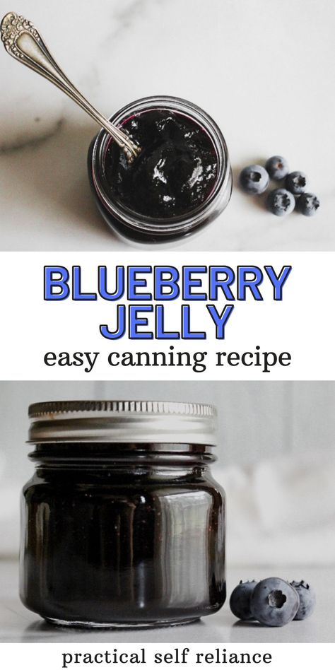 Canning Recipes Jelly, Blueberry Jelly Recipe Homemade Jams, Blueberry Jelly Recipe Easy, Blueberry Preserves Recipe Canning, Canning Blueberry Butter, Blueberry Butter Canning Recipe, Jams And Jelly Recipes For Canning, Blueberry Canning Ideas, Canning Blueberries Recipes