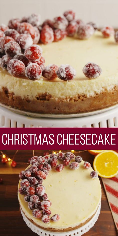 Christmas Cheesecake, cheesecakes. Cheesecake Christmas Decoration, Christmas Tarts Desserts, Christmas Cheesecakes Ideas, Grinch Cheesecake, Pretty Christmas Desserts, Xmas Cheesecake, Christmas Cheesecake Decoration, Christmas Quiche, Cheesecake Birthday