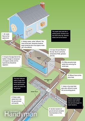 Septic Tank Problems, Diy Septic System, Septic Tank Design, Septic Tank Systems, Grey Water System, Sewer System, Septic System, Work Family, Family Handyman