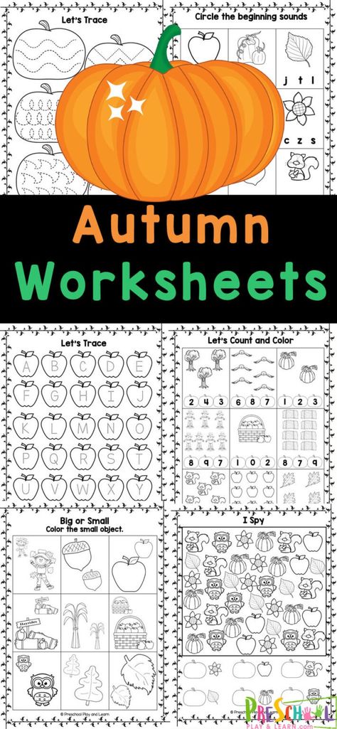 Make practicing math and litearcy skills fun for kids by using these free Autumn worksheets for preschoolers! These fall worksheet for preschool combine cute clipart with important pre-k skills for no-prep educational activities kids will beg to do! Fall Graphing Preschool, Preschool Challenge Activities, Fall Ideas For Kindergarten, Kindergarten Fall Worksheets Free Printables, Fall Playdough Activities, Fall Worksheets For Kindergarten Free, Fall Fun Preschool Activities, Leaf Worksheets Preschool, Thanksgiving Worksheets Preschool Free