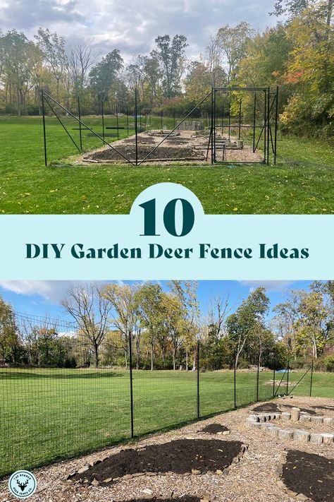 Tall Garden Fence With Gate, Backyard Garden Deer Proof, Vegetable Fence Ideas, East Garden Fence, Small Fenced Vegetable Garden, Easy Deer Proof Garden Fence, Fence For Flower Garden, Inexpensive Garden Fence Ideas, Vege Garden Fence Ideas