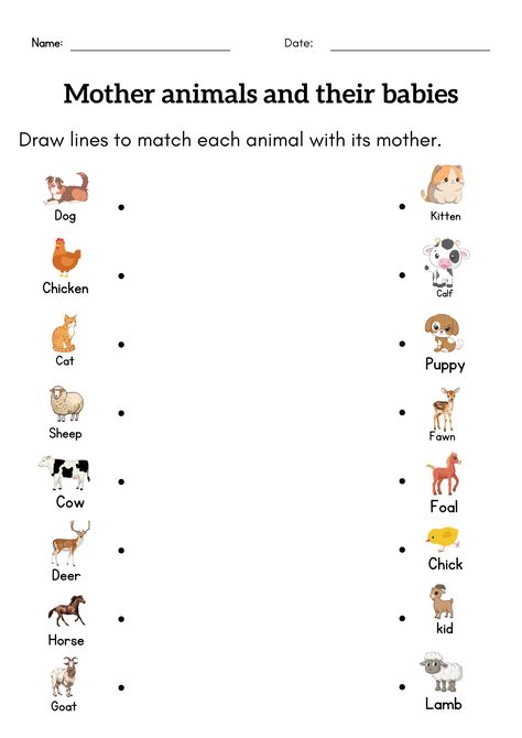 farm animals and their babies matching worksheet Help children understand that baby animal names can differ from their mother Mammals Worksheets For Kids, Baby Farm Animals Preschool Activities, Animals Needs Worksheet, Mammal Activities For Preschool, Baby Animal Activities Preschool, Animals And Their Babies Worksheet, Worksheet For Grade 1, Animals Kindergarten Activities, Animal Lesson Plans