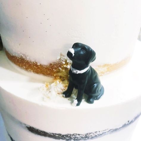 Black Lab Cake Topper, Grooms Cake Alternative Ideas, 30 Cakes, Dog Bday, Cakes For Weddings, Cakes Design, Taylor Wedding, Cakes Decorating, Wedding Renewal