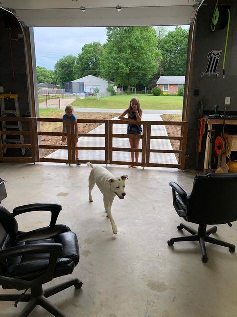 Dog gate Room Divider Diy, Diy Dog Run, Diy Gate, Dog Gates, Indoor Dog Kennel, Kennel Ideas, Fence Designs, Privacy Fence Designs, Gate Ideas