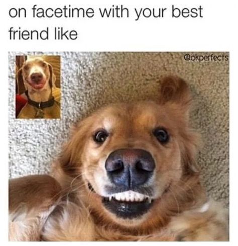 - CosmopolitanUK Friendship Memes Funny, World Friendship Day, Friendship Memes, Funny Boyfriend Memes, Friendship Humor, Best Friend Quotes Funny, Boyfriend Memes, Friend Memes, Friendship Quotes Funny