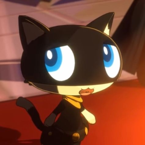 ⤷ morgana icon﹕✮ Mona Persona 5, Persona 5 Morgana, Nova Core, Morgana Persona 5, Persona 1, Persona Series, Persona 5, Silly Cats, Profile Picture