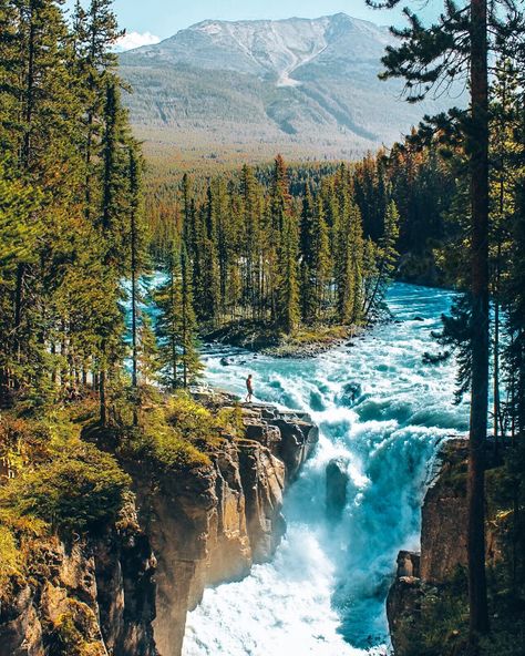 Best Things to do in Jasper National Park - Jasper National park hiking and Jasper National park camping guide for the ultimate Jasper National Park road trip through Alberta Canada. Don't miss Sunwapta Falls hike! One of our top favorite best hikes in Jasper National Park. See this unique waterfall that flows around an island. Sunwapta Falls Alberta Canada, Sunwapta Falls, Hiking Vacations, Alberta Canada Travel, Jasper National Park Canada, Jasper Alberta, Alberta Travel, West Coast Trail, Jasper National Park