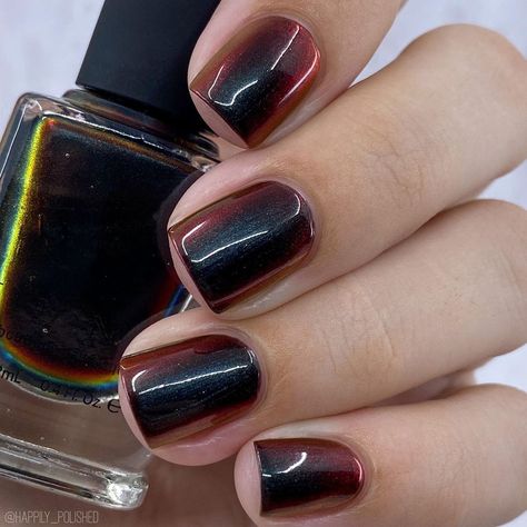 happily_polished | Ali on Instagram: “‘Eclipse’ by @ilnp is a midnight black ultra chrome with a fiery red color shift. Eclipse color shifts from a striking midnight black to a…��” Fiery Red, Midnight Black, Red Color, Nails, Red, On Instagram, Color, Black, Instagram