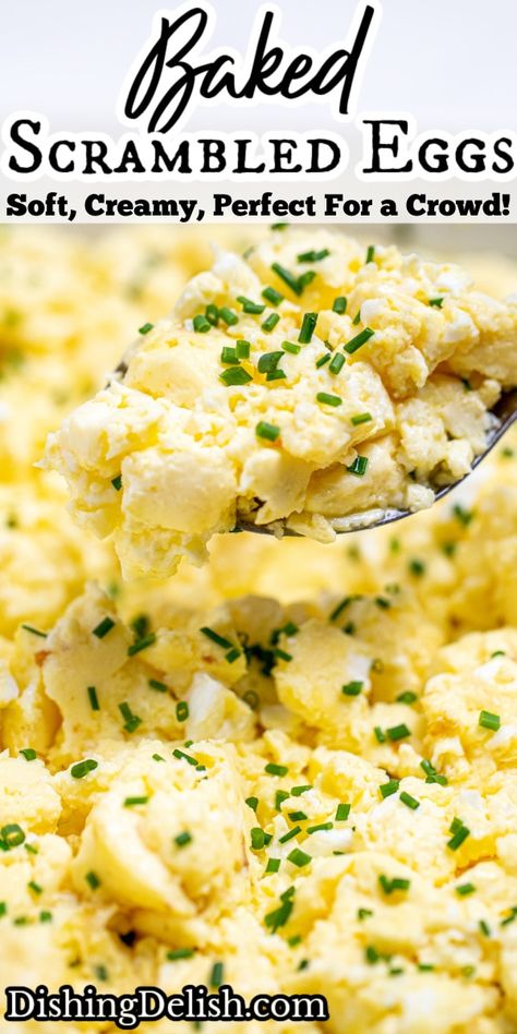 Egg Brunch Ideas For A Crowd, Make Ahead Eggs For A Crowd, Cheesy Scrambled Eggs For A Crowd, Easy Eggs For A Crowd, Scrambled Egg Recipes For A Crowd, Large Egg Bake, How To Make Scrambled Eggs For A Crowd, Hotel Scrambled Eggs, How Long To Bake Scrambled Eggs In Oven