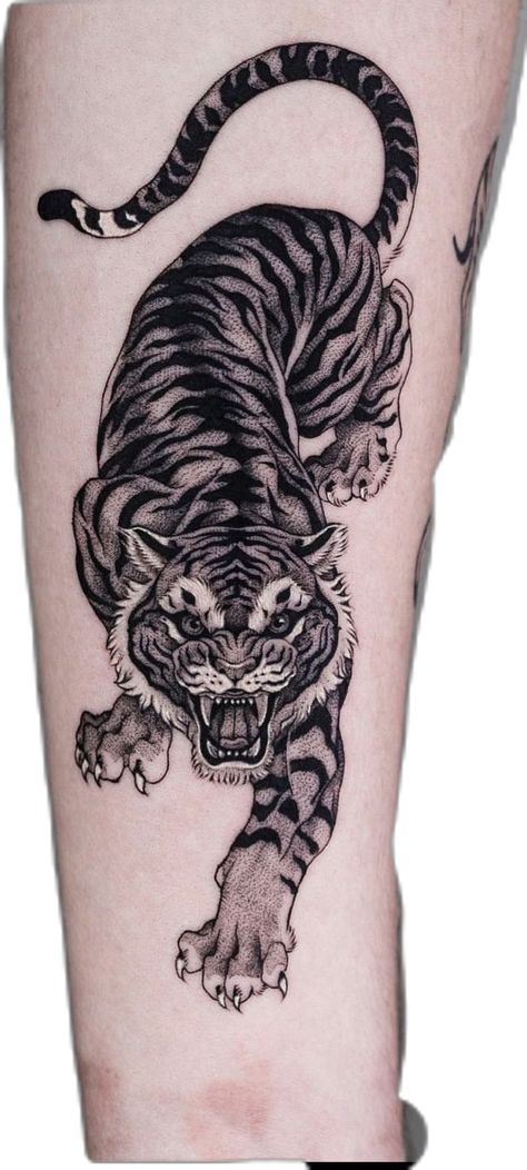 Japanese Tiger Back Tattoo, Crouching Tiger Tattoo, Lion And Tiger Tattoo, Indian Tiger Tattoo, Tiger Tattoo Shoulder, Tiger Snake Tattoo, Black And Grey Tiger Tattoo, Asian Tiger Tattoo, Mountain Lion Tattoo