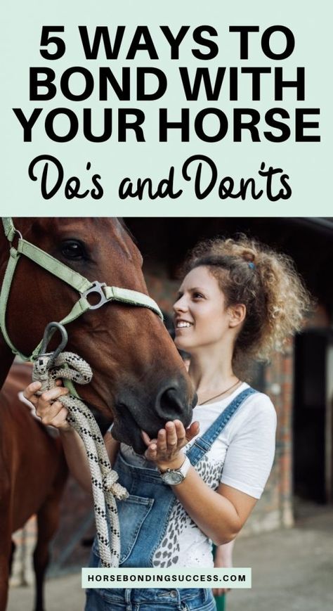 5 Ways to Bond With Your Horse (Bonding Do’s and Don’ts) – Horse Bonding Success Bonding With Your Horse, Bonding Exercises With Your Horse, Holistic Horse Care, Horse Bonding Exercises, Horse Personality Types, Bonding With Horse, How To Bond With Your Horse, How To Take Care Of A Horse, Horse Bonding