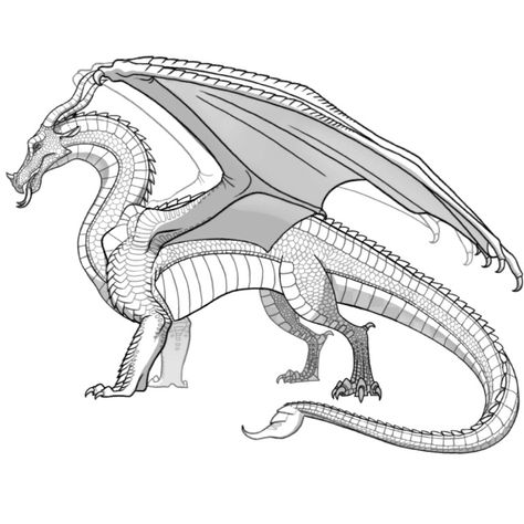 Poorly made- but I hope you enjoy it! Skywing Nightwing Hybrid, Dragon Base, Wings Of Fire Dragons, Cute Dragon, Dragon Sketch, Fire Art, Coloring Pages For Adults, Wings Of Fire, Dragon Head