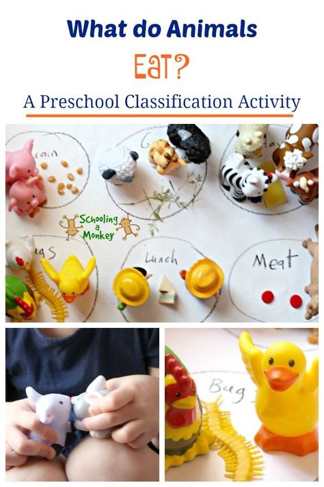 In this no-prep totschooling activity, teach preschoolers the varying dietary needs of animals through classification using small toys. Animal Science Experiments, Spring Stem Activities, Letter Sound Activities, Preschool Units, Learning Shapes, Teaching Toddlers, Stem Challenges, Tot School, Preschool Science