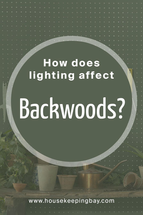 Benjamin Moore Backwoods Bedroom, Backwoods Color Palette, Bm Backwoods Cabinets, Backwoods Green Benjamin Moore, Backwoods Benjamin Moore Cabinets, Benjamin Moore Backwoods Cabinets, Backwoods Benjamin Moore Bedroom, Back Woods Benjamin Moore, Benjamin Moore Backwoods Color Scheme