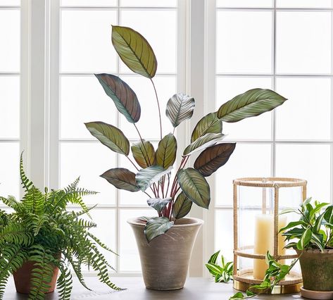 Faux plants decor